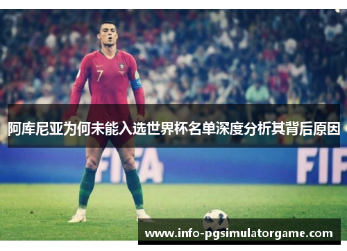 阿库尼亚为何未能入选世界杯名单深度分析其背后原因