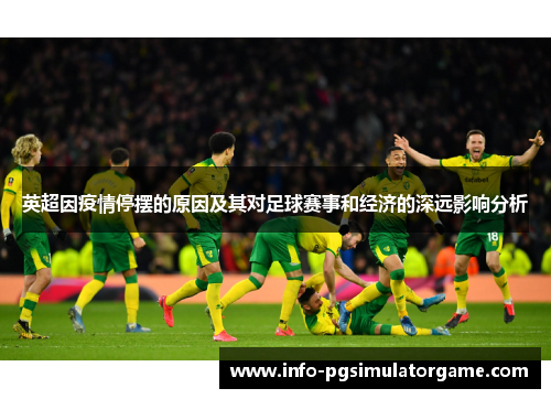 英超因疫情停摆的原因及其对足球赛事和经济的深远影响分析